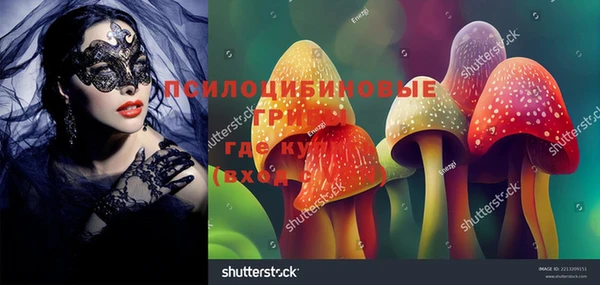 ECSTASY Алзамай