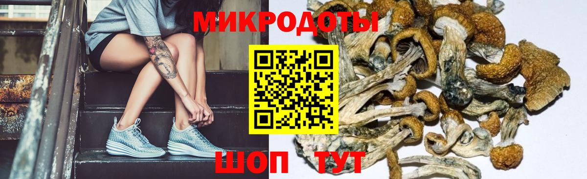Галлюциногенные грибы GOLDEN TEACHER Каменск-Уральский